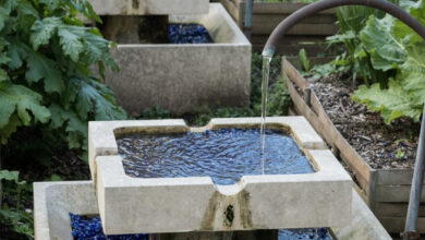 De l'eau de robinet dans un jardin.